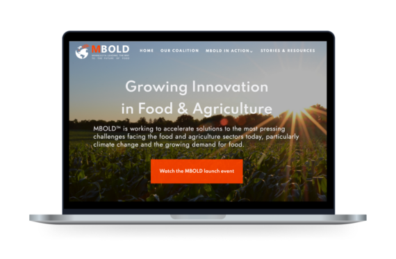 The MBOLD website displayed on a laptop